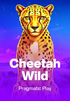 Cheetah Wild